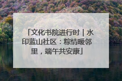 文化书院进行时｜水印蓝山社区：粽情暖邻里，端午共安康