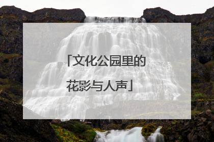 文化公园里的花影与人声