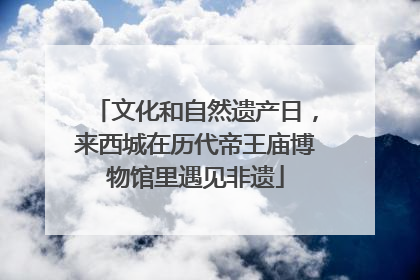 文化和自然遗产日，来西城在历代帝王庙博物馆里遇见非遗