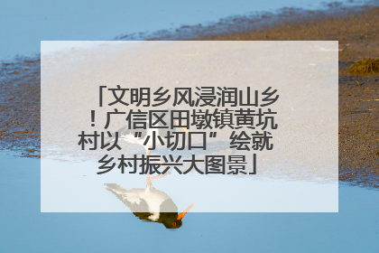 文明乡风浸润山乡！广信区田墩镇黄坑村以“小切口”绘就乡村振兴大图景