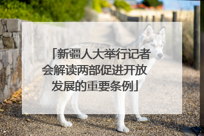 新疆人大举行记者会解读两部促进开放发展的重要条例