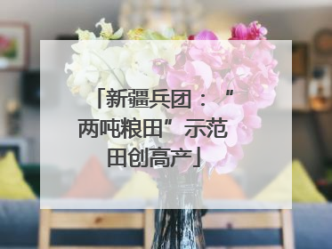 新疆兵团：“两吨粮田”示范田创高产