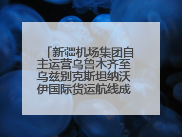 新疆机场集团自主运营乌鲁木齐至乌兹别克斯坦纳沃伊国际货运航线成功首航
