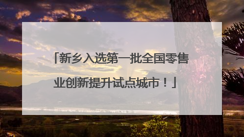 新乡入选第一批全国零售业创新提升试点城市！