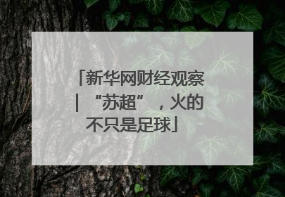新华网财经观察｜“苏超”，火的不只是足球
