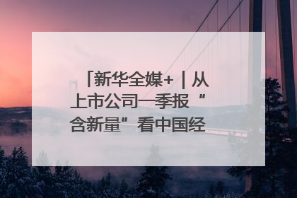 新华全媒+｜从上市公司一季报“含新量”看中国经济发展向“新”