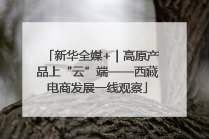 新华全媒+｜高原产品上“云”端——西藏电商发展一线观察