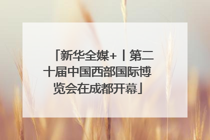 新华全媒+丨第二十届中国西部国际博览会在成都开幕
