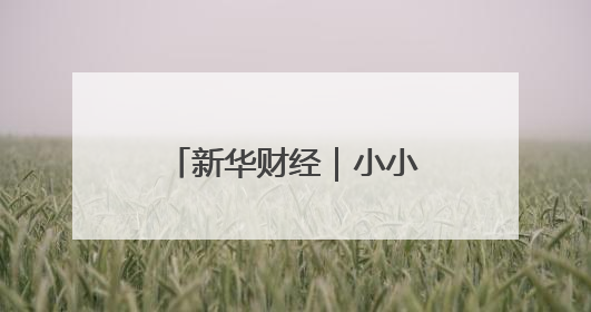 新华财经｜小小蓝莓，在科技大棚种出9个亿