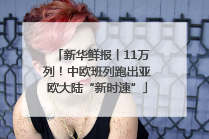 新华鲜报丨11万列！中欧班列跑出亚欧大陆“新时速”