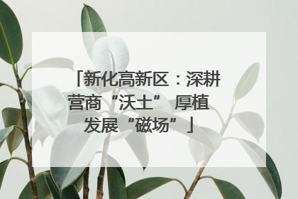 新化高新区：深耕营商“沃土” 厚植发展“磁场”