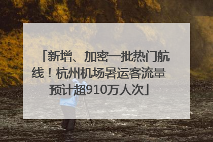新增、加密一批热门航线！杭州机场暑运客流量预计超910万人次