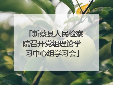 新蔡县人民检察院召开党组理论学习中心组学习会