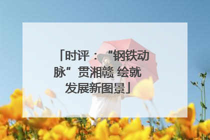 时评：“钢铁动脉”贯湘赣 绘就发展新图景