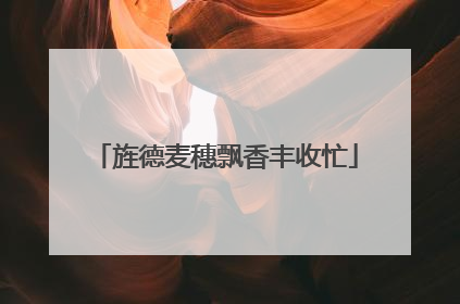 旌德麦穗飘香丰收忙