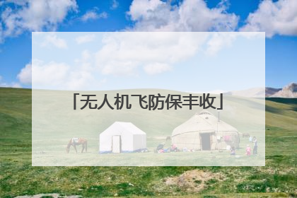 无人机飞防保丰收
