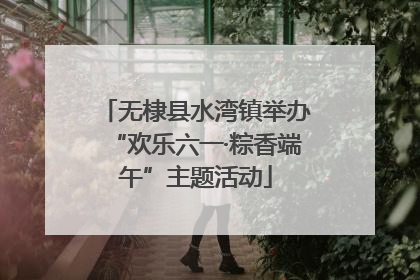 无棣县水湾镇举办“欢乐六一·粽香端午”主题活动