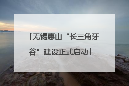 无锡惠山“长三角牙谷”建设正式启动
