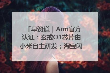 早资道｜Arm官方认证：玄戒O1芯片由小米自主研发；淘宝闪购联合饿了么日订单超4000万
