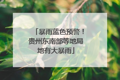 暴雨蓝色预警！贵州东南部等地局地有大暴雨