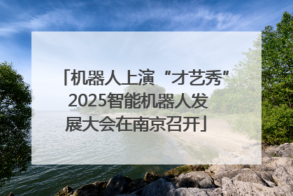 机器人上演“才艺秀” 2025智能机器人发展大会在南京召开