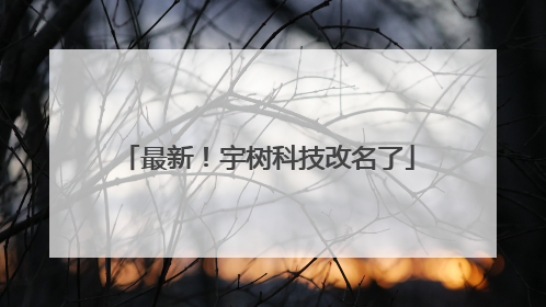 最新！宇树科技改名了