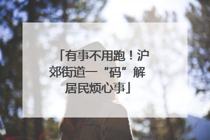 有事不用跑！沪郊街道一“码”解居民烦心事