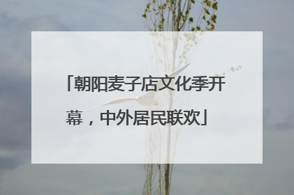 朝阳麦子店文化季开幕，中外居民联欢