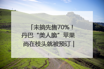 未摘先售70%！丹巴“美人脆”苹果尚在枝头就被预订｜长征路上看四川
