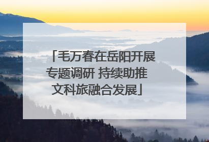 毛万春在岳阳开展专题调研 持续助推文科旅融合发展