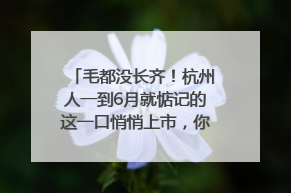 毛都没长齐！杭州人一到6月就惦记的这一口悄悄上市，你打算尝鲜吗？
