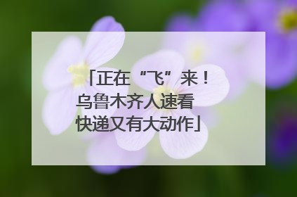 正在“飞”来！乌鲁木齐人速看 快递又有大动作