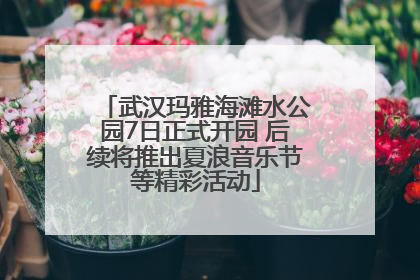 武汉玛雅海滩水公园7日正式开园 后续将推出夏浪音乐节等精彩活动