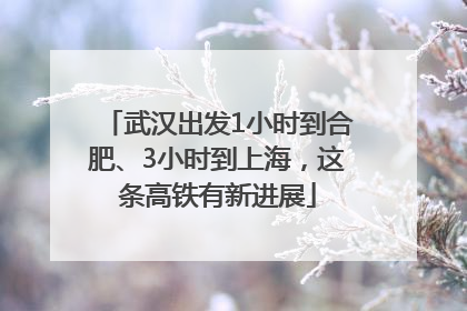 武汉出发1小时到合肥、3小时到上海，这条高铁有新进展