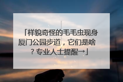 样貌奇怪的毛毛虫现身厦门公园步道，它们是啥？专业人士提醒→