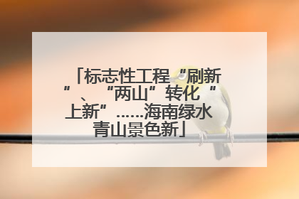 标志性工程“刷新”、“两山”转化“上新”……海南绿水青山景色新