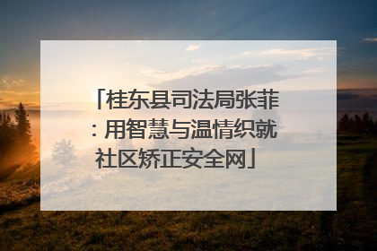 桂东县司法局张菲：用智慧与温情织就社区矫正安全网