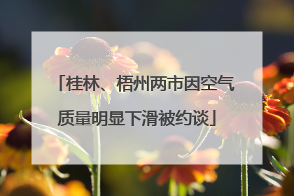 桂林、梧州两市因空气质量明显下滑被约谈