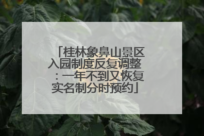 桂林象鼻山景区入园制度反复调整：一年不到又恢复实名制分时预约