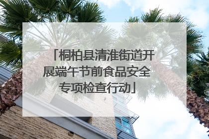 桐柏县清淮街道开展端午节前食品安全专项检查行动
