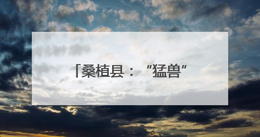 桑植县：“猛兽”当前 他们在行动
