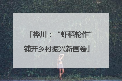 桦川：“虾稻轮作”铺开乡村振兴新画卷