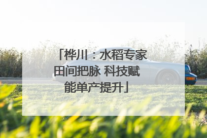 桦川：水稻专家田间把脉 科技赋能单产提升