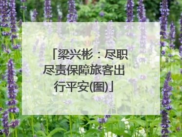 梁兴彬：尽职尽责保障旅客出行平安(图)