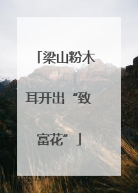 梁山粉木耳开出“致富花”