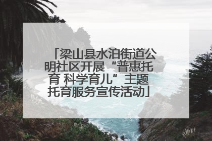 梁山县水泊街道公明社区开展“普惠托育 科学育儿”主题托育服务宣传活动