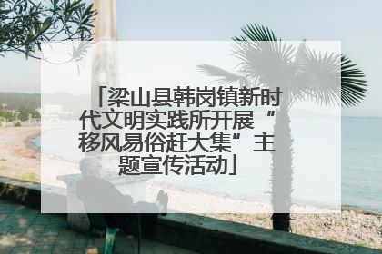 梁山县韩岗镇新时代文明实践所开展“移风易俗赶大集”主题宣传活动