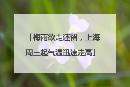 梅雨欲走还留，上海周三起气温迅速走高