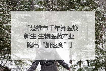 楚雄市千年彝医焕新生 生物医药产业跑出“加速度”
