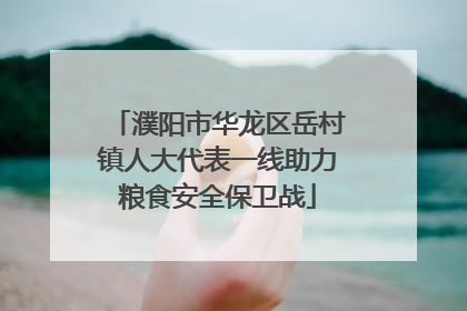濮阳市华龙区岳村镇人大代表一线助力粮食安全保卫战